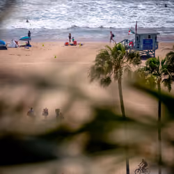 Vivid Frame #19 - Beach Bustle