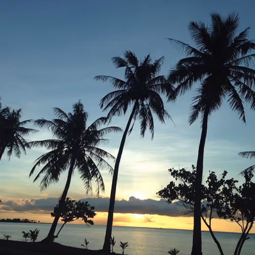 AIR14 Collection - old