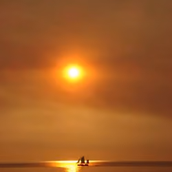 Sun Reflection