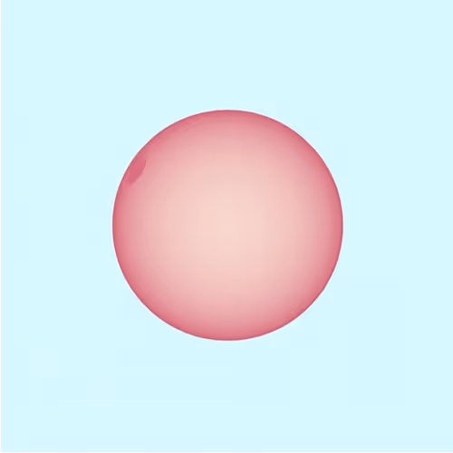 Item #1985139673685156390981863883838174320962376822239471130123879901953620180993 Media