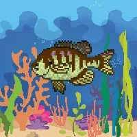 Etherfishing