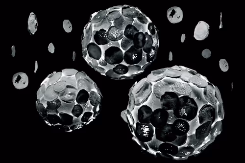 Item #37900416221122506501335633877119484743479036957071266384470156547391223758849 Media