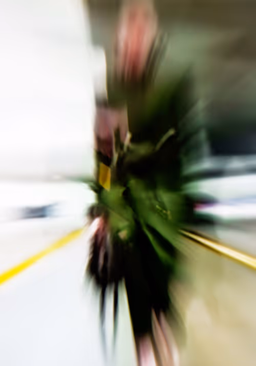 Item #14503465187022007611966174832108157792995950780561911108779820379402720509962 Media