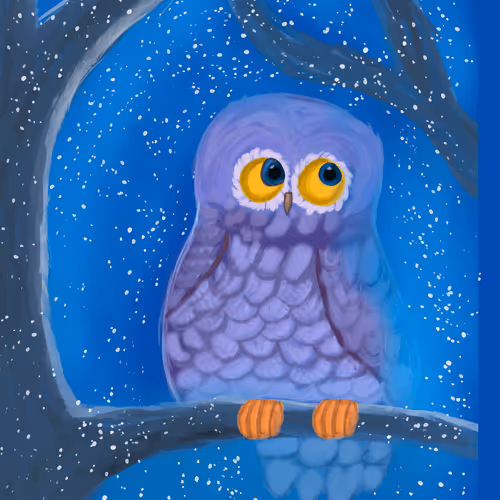 Digitalshine Collection