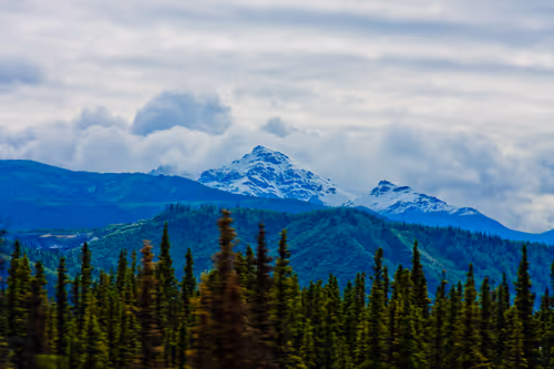 Item #888198070620530782295992843188489433267157345827485471243103222657460469761 Media