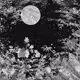 101643088507671799201726191514996798667758602405670960560594259220657017454593