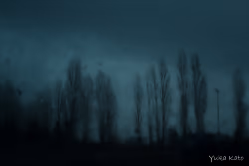 Item #111326101478107214990251795731047965840392207690526379209547236960896435617793 Media