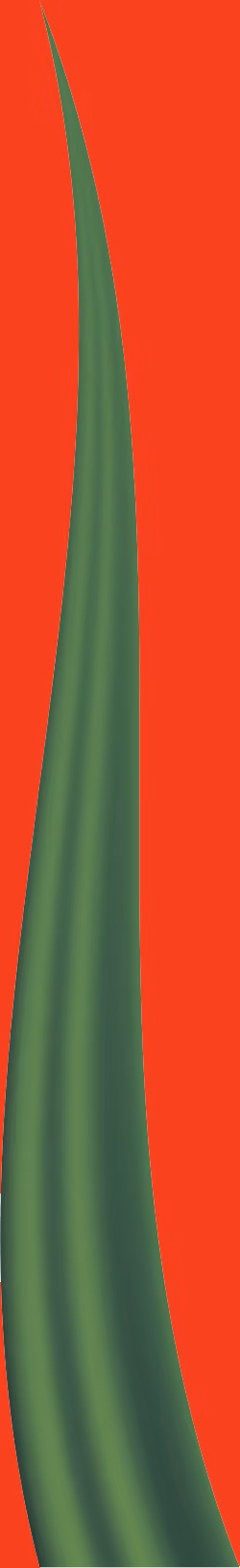 Item #78763235517899702300642317908544281341520076745003203023483945996107240177665 Media