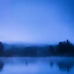 Fog Illusion