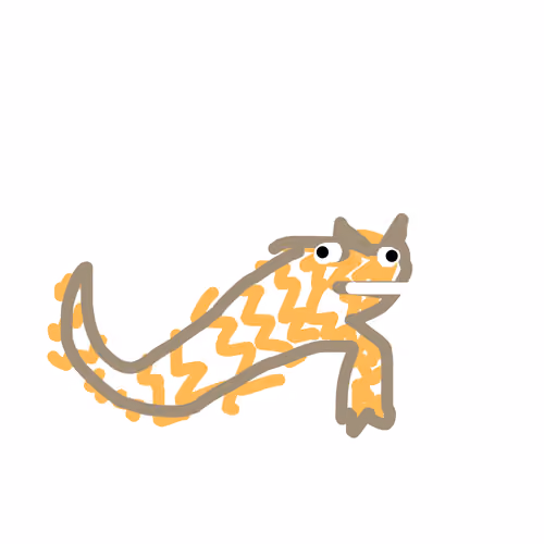 Armadillo Girdled Lizard