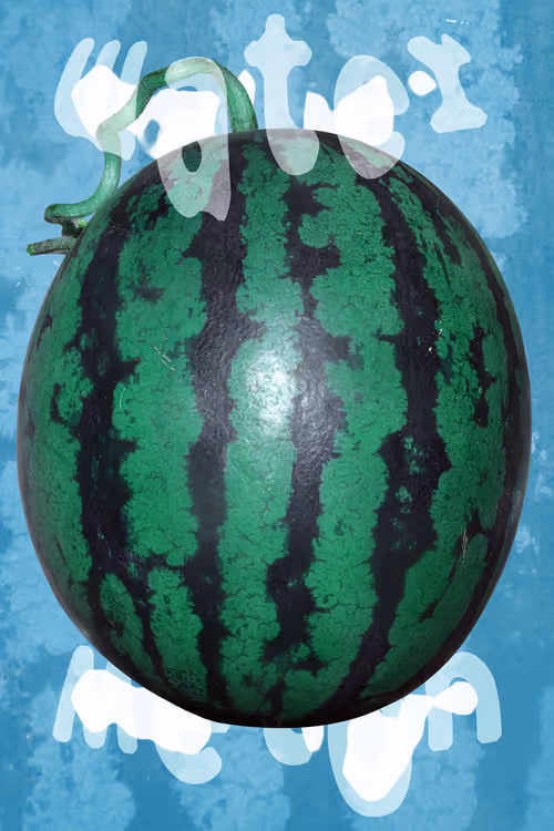 Item #67783958980344062950130156977261207407070005952059443155167400769312289456255 Media