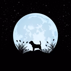 Animals By The Moon #69