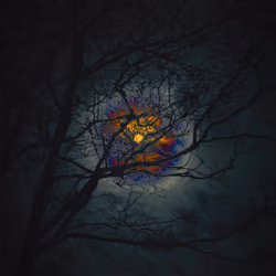 Eye of Intuition