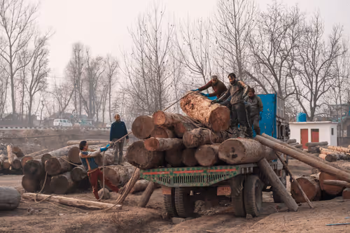 Traditional Working Class