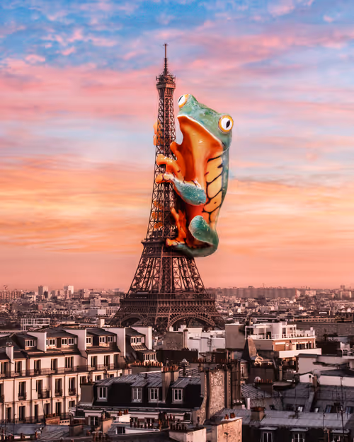 Item #44899826006193838655764715468721601160155167556143089793806025134650263863297 Media