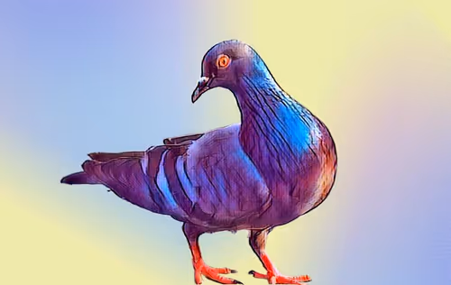 Item #8611177212973406975637787311467685402207376623163261380943492147749670879233 Media