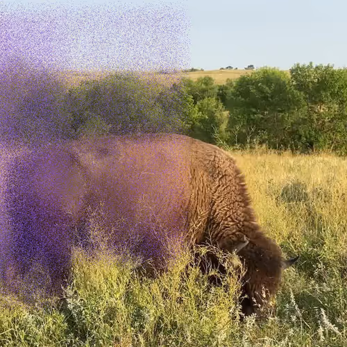 105089968166921690156624725616502706642431777719922472152070405788732988850177