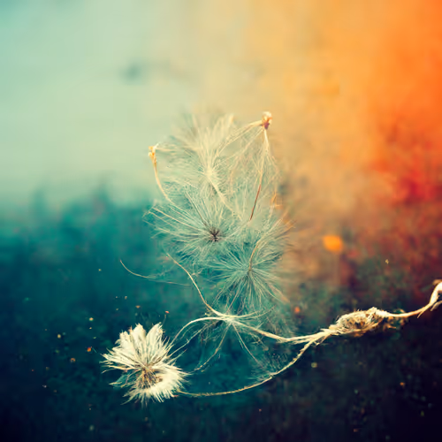 Item #31421316612995660521546961445364726603217168977399687181409934547312361603073 Media