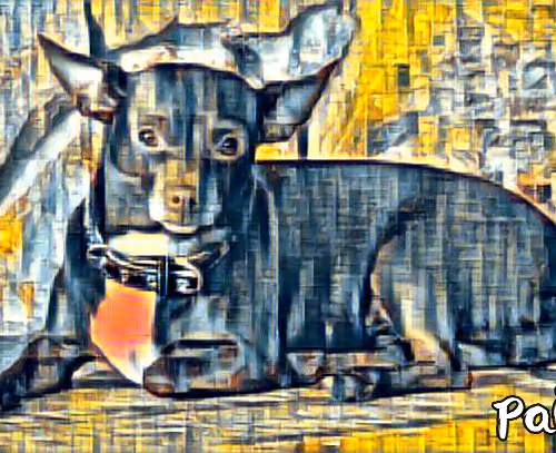 Untitled Collection #55082511