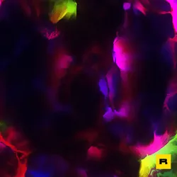 82910634968234971591690507859221112527609080074676685527709326208646741229569