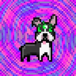 #07 B̢̟͕o̟̲s̀t̳̖̬o̷̻̣n̡͖ ̵͚T̴̜̫͙e̩̖r͎̠̭͚ŗ̼i͉̪͕͖͜é̞̼̣̻r̨̬