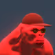 9250605307595587702394234850661833939238315302181593942266886494115072049153