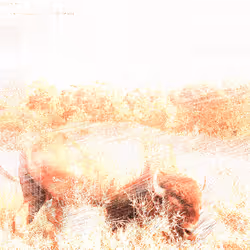 105089968166921690156624725616502706642431777719922472152070405796429570244609