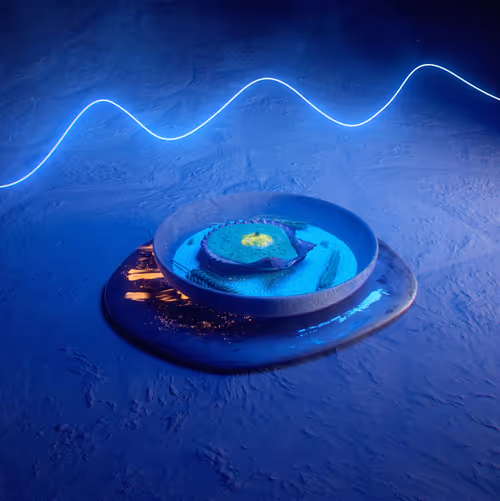 Item #42251490548713108854769093075556712688390751668570221178596300365084472901633 Media