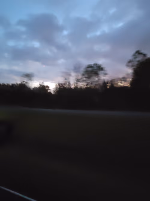 Item #61051240571971779841838649405693456424568018504308900476674196460755723747329 Media