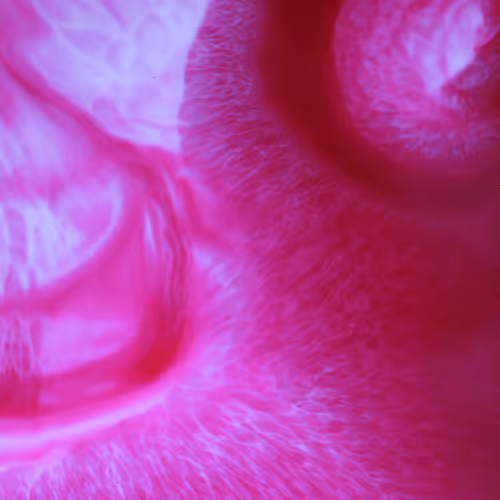Test 05