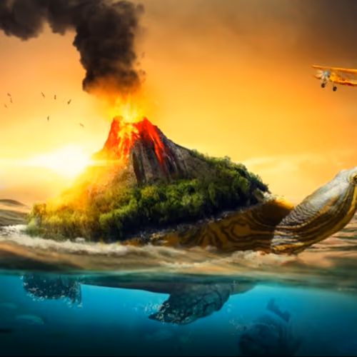 Turtle Volcano