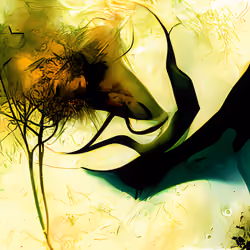 Fox Spirit