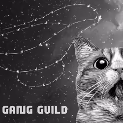 Gravy Cat Discord