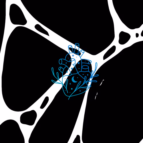 Andromedaxl Collection