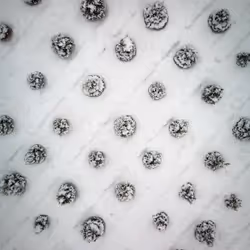 100600280271040798317723628260513137156606623100883316454227272192537942556673