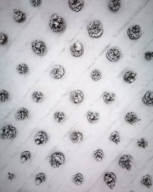 Item #100600280271040798317723628260513137156606623100883316454227272192537942556673 Media