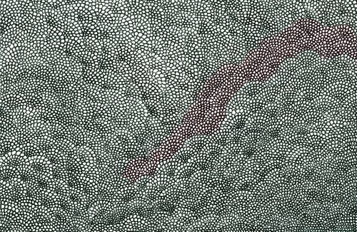 Item #56231055166534768819260761756004250554455450585187543117911899981510487310337 Media