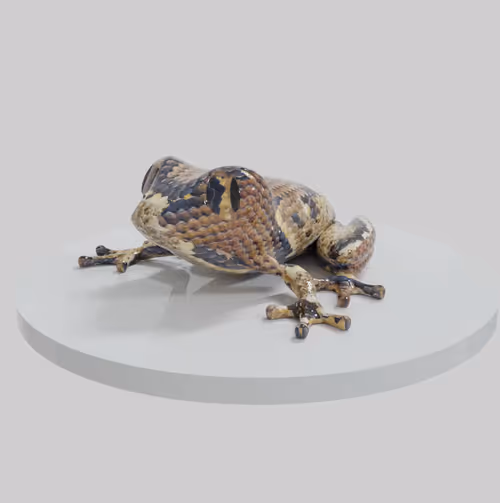 Item #50446390806844354840627155297129004457063732337972938108497394630559044468737 Media