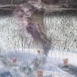 78464554420107649956953518347533873770073782102999568322662088327269695094785