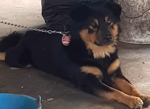 Item #56055091060271351536523847984853154360378800009370414984463609029483355439105 Media