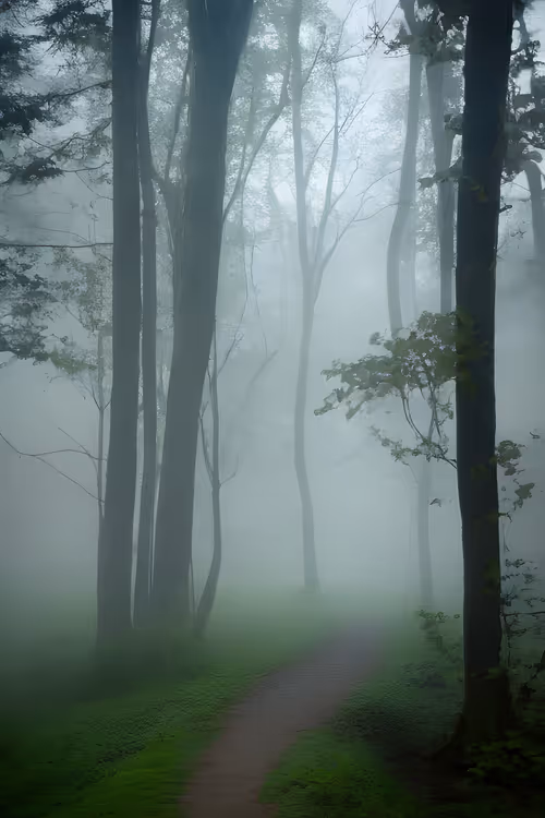 Item #3887115422047443630545464223791812627069003321479925378217031285844484292609 Media