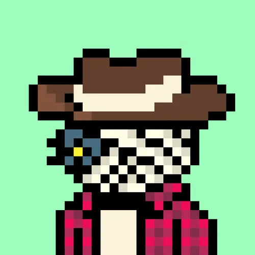 24px