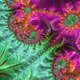 86754765244586695420174879780682304815618146145274494260801002602182836486145