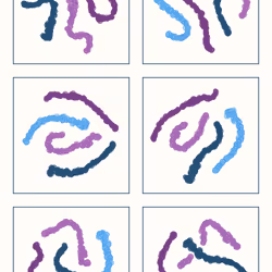 107937117699900001194099939943306584939867407144504846123696048333372107259905