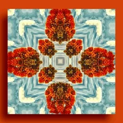 Mandala #28