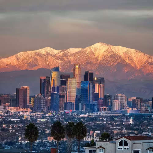 Untitled Collection #13455942