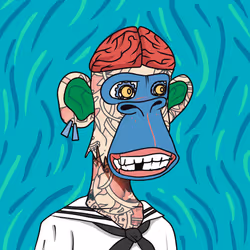 19801848002238288223331657039264687310886544100414805397759308211410178146305