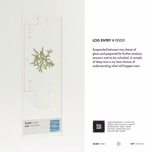 Item #92296779197200702997434560275627940262575679960030524376160793928388313088001 Media