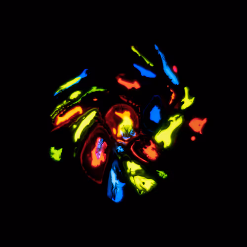 Item #39853347361311550538823328626004824816221754573894422864413753371472087220225 Media