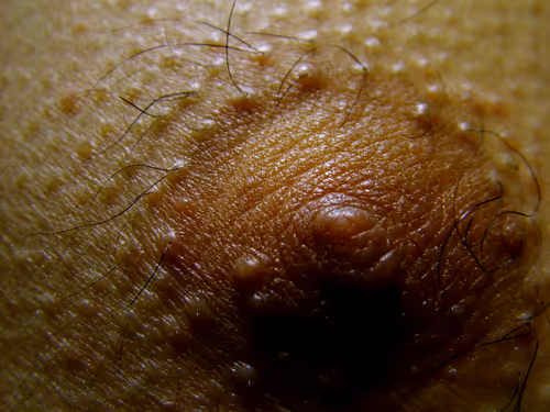 Item #53293308890184797563245186567038910587897763149201304652829954796730626080769 Media